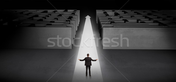 Businessman going straight ahead between two mazes Stock photo © ra2studio