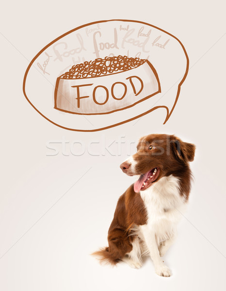 Foto stock: Bonitinho · border · collie · comida · marrom · branco