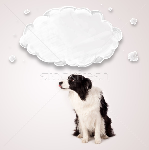 商業照片: 可愛 · 邊境牧羊犬 · 空的 · 雲 · 黑白 · 以上