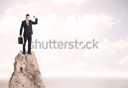 Businessman on rock mountain Stock photo © ra2studio