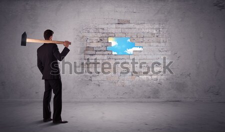 Business man hitting brick wall with hammer Stock photo © ra2studio