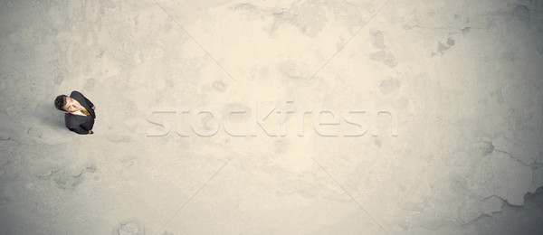 Człowiek biznesu górę stałego kopia przestrzeń pustyni działalności Zdjęcia stock © ra2studio