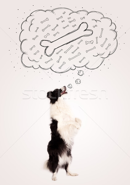 Juhászkutya gondolatbuborék gondolkodik csont aranyos feketefehér Stock fotó © ra2studio