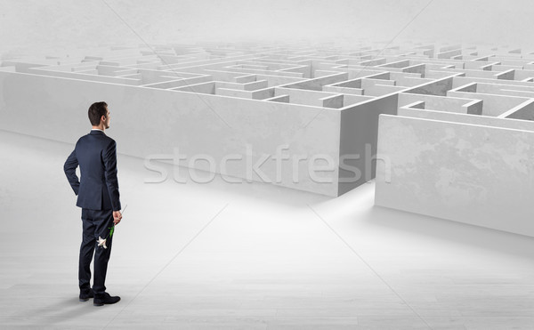 Businessman starting a labyrinth challenge Stock photo © ra2studio