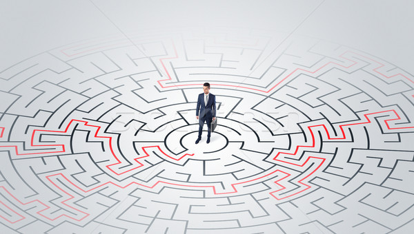 Young entrepreneur standing in a middle of a labyrinth  Stock photo © ra2studio