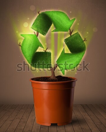 Recycle sign growing out of flowerpot Stock photo © ra2studio