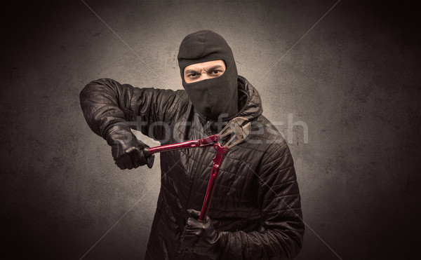 Burglar with tool. Stock photo © ra2studio