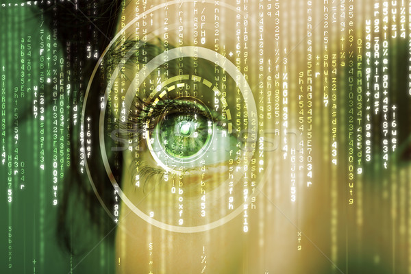 Modern cyber woman with matrix eye  Stock photo © ra2studio