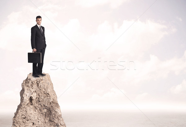 Happy businessman standing on cliff Stock photo © ra2studio