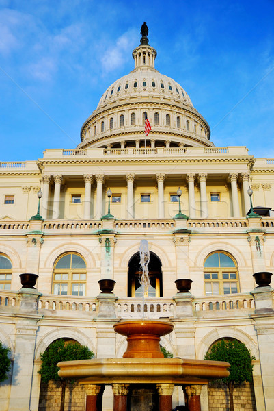 Capitol hill building with fountain, Washington DC Stock photo © rabbit75_sto