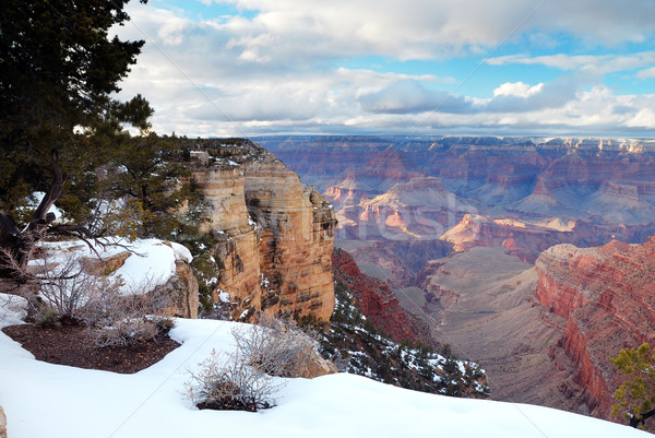 Grand Canyon Panorama Ansicht Winter Schnee blauer Himmel Stock foto © rabbit75_sto