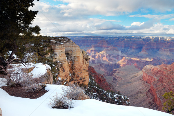 Grand Canyon panorama view inverno neve cielo blu Foto d'archivio © rabbit75_sto