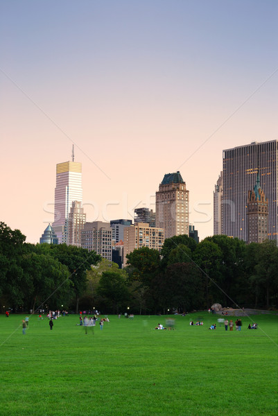 Nowy Jork Central Park zmierzch panorama Manhattan panoramę Zdjęcia stock © rabbit75_sto