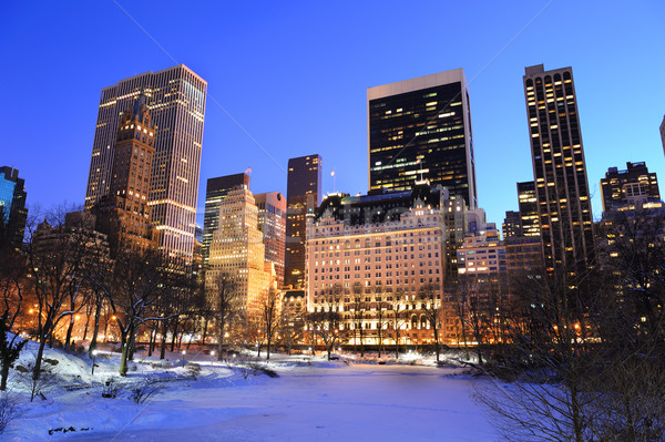 Нью-Йорк Manhattan Центральный парк Панорама зима снега Сток-фото © rabbit75_sto