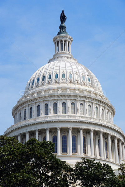Capitol Hill Building dome closeup, Washington DC Stock photo © rabbit75_sto