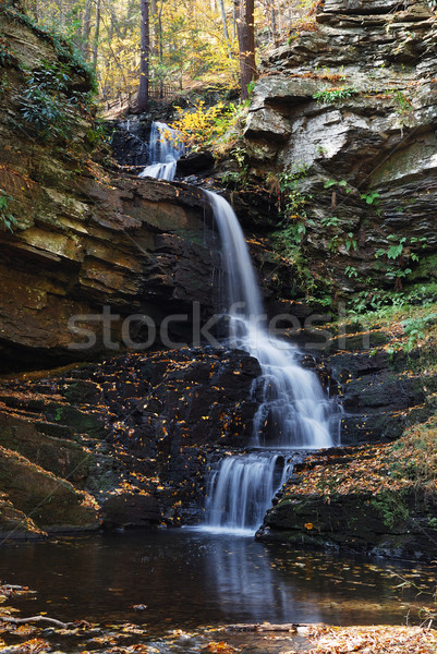 ősz vízesés hegy lomb erdő kövek Stock fotó © rabbit75_sto