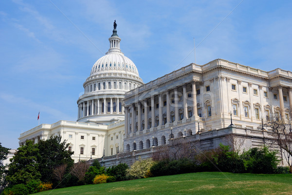 Capitol Hill, USA, Washington DC. Stock photo © rabbit75_sto