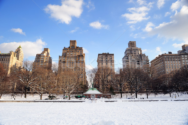 [[stock_photo]]: New · York · City · Manhattan · Central · Park · hiver · neige