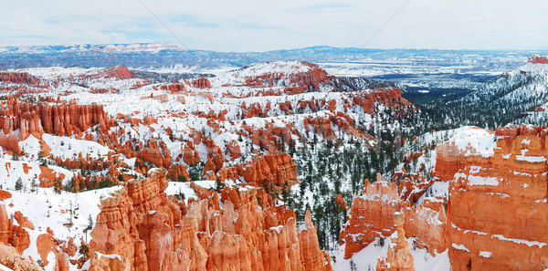 Kanyon panoráma hó tél piros kövek Stock fotó © rabbit75_sto