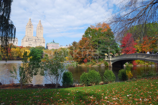 New York City Central Park Stock photo © rabbit75_sto