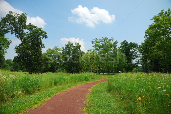 Foto d'archivio: Tranquillo · rurale · percorso · alberi · erba · blu