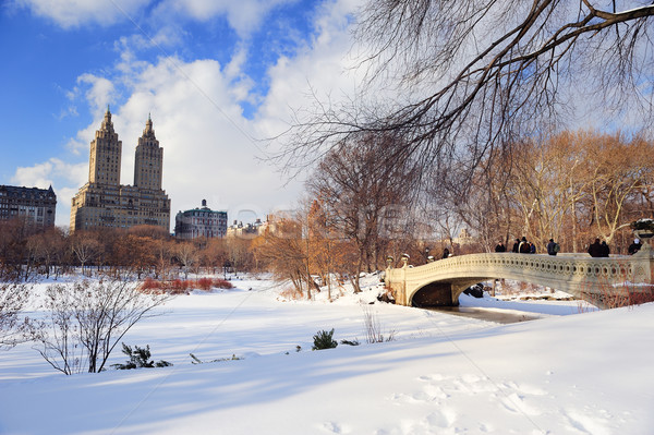 Нью-Йорк Manhattan Центральный парк Панорама зима льда Сток-фото © rabbit75_sto