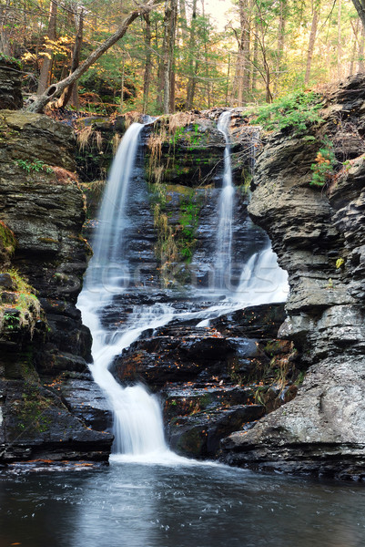 商业照片: 秋天 · 瀑布 ·山·树·岩· 宾夕法尼亚州