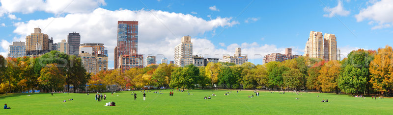 Stok fotoğraf: New · York · Central · Park · panorama · Manhattan · ufuk · çizgisi · bulut