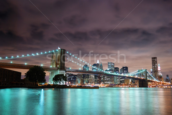 New York Manhattan panorama görmek köprü gece Stok fotoğraf © rabbit75_sto