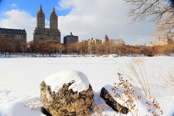 Нью-Йорк Manhattan Центральный парк зима льда снега Сток-фото © rabbit75_sto