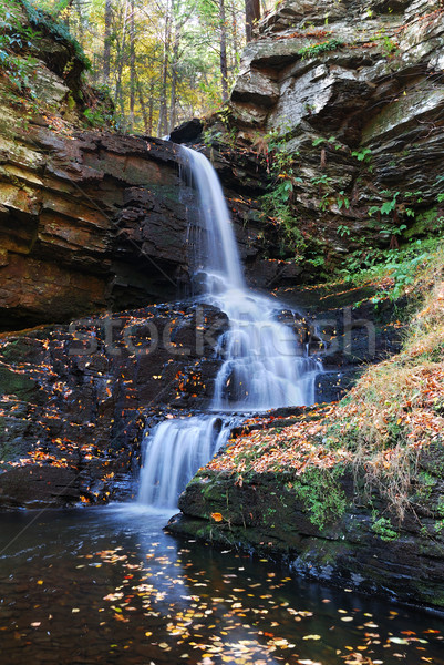 ősz vízesés hegy víz fa tájkép Stock fotó © rabbit75_sto
