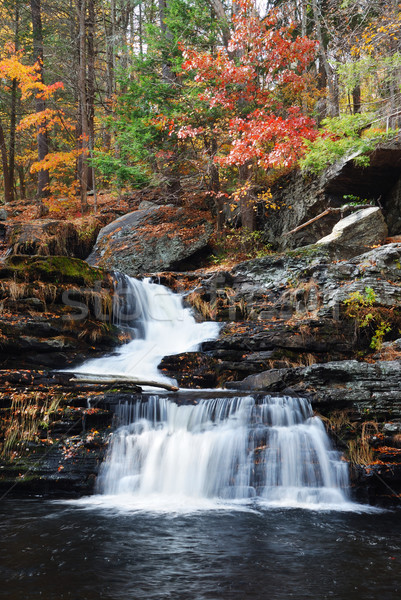 Stockfoto: Najaar · waterval · berg · bomen · rotsen · Pennsylvania