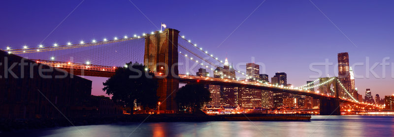 New York köprü panorama Manhattan ufuk çizgisi görmek Stok fotoğraf © rabbit75_sto