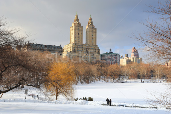 Нью-Йорк Manhattan Центральный парк зима льда снега Сток-фото © rabbit75_sto