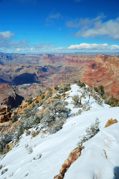 Grand Canyon panoráma kilátás tél hó kék ég Stock fotó © rabbit75_sto