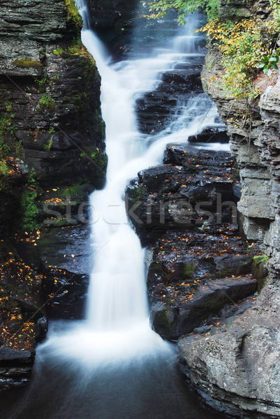 Vízesés kövek fák hegy ősz Pennsylvania Stock fotó © rabbit75_sto