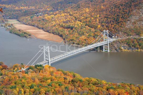 Autumn Mountain forest with bridge Stock photo © rabbit75_sto