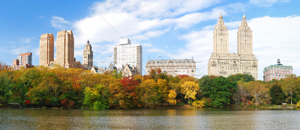New York City panorama Stock photo © rabbit75_sto