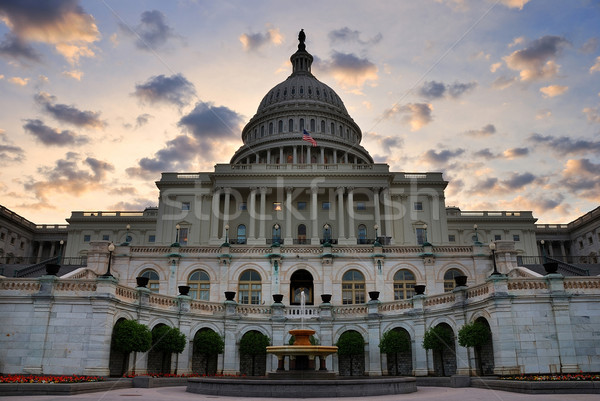 Capitol Hill Building closeup, Washington DC Stock photo © rabbit75_sto