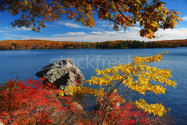 Autumn Mountain with lake Stock photo © rabbit75_sto