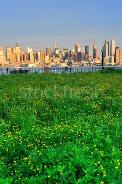 New York City Manhattan with lawn Stock photo © rabbit75_sto