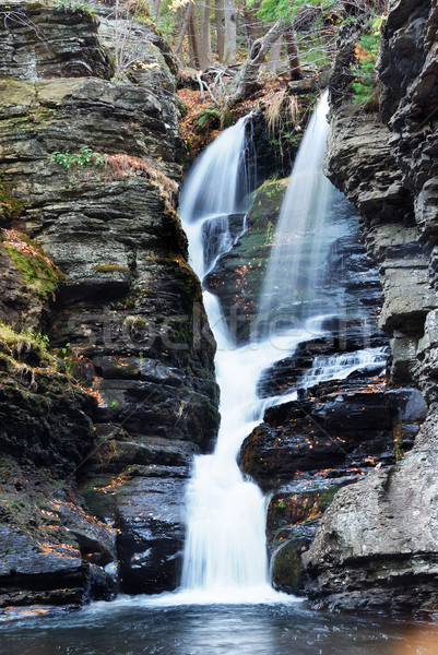 Stockfoto: Najaar · waterval · berg · bomen · rotsen · Pennsylvania