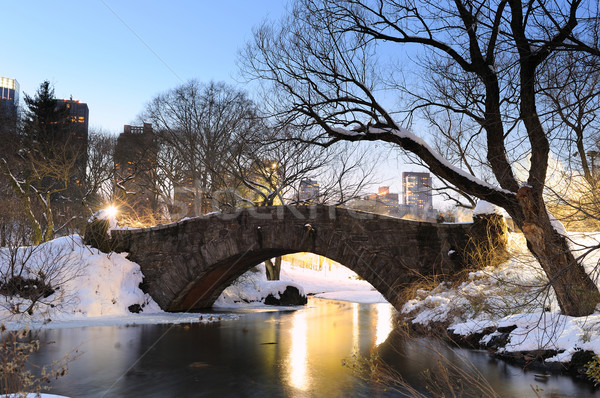 New York City Manhattan Central Park iarnă pod cer Imagine de stoc © rabbit75_sto