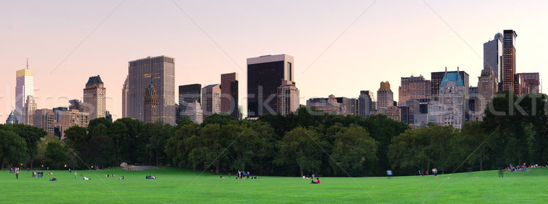 Nueva York Central Park anochecer panorama Manhattan horizonte Foto stock © rabbit75_sto