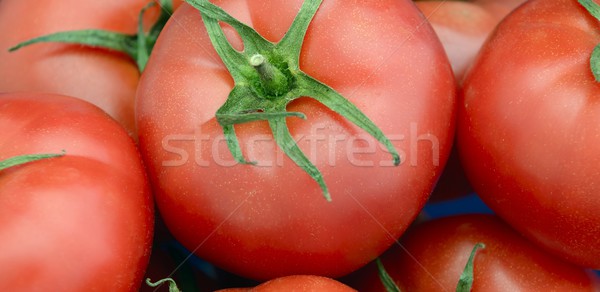 Pomodori isolato sfondo verde rosso colore Foto d'archivio © rabel