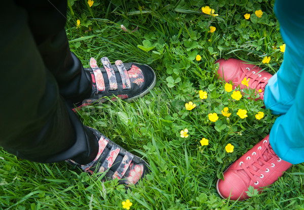 Widoku nogi cztery stałego trawy Zdjęcia stock © raduga21