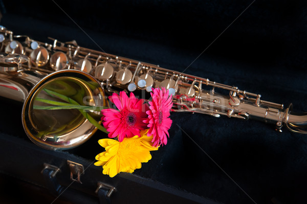 saxophone with flower Stock photo © raduga21
