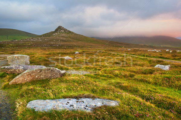 Wilderness on Dingle Peninsula Stock photo © rafalstachura