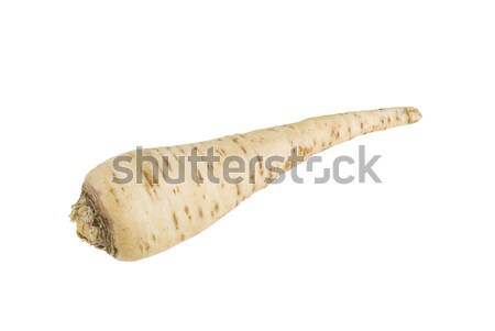 Korzeń pietruszka jeden świeże odizolowany biały Zdjęcia stock © rafalstachura