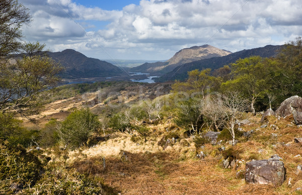 Ring of Kerry Stock photo © rafalstachura